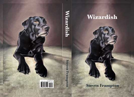 Wizardish by Steven Frampton – A Magical Tale of Myth, Mystery & Metaphysical Truth (Paperback Edition)